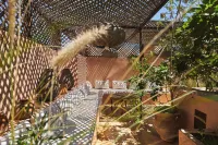 RIAD YLHA Hotel in zona Place des 7 Saints
