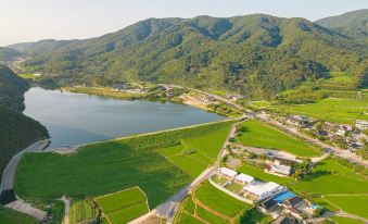 Gyeongju Sunflower Kids Pool Villa