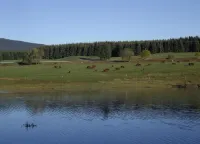 Flucht Ins Herz Von Elend