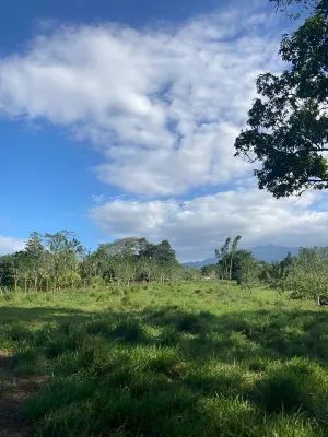 Rincón Sereno San Carlos Costa Rica