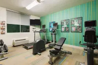 Holiday Inn Express MIAMI AIRPORT DORAL AREA by IHG - Gym