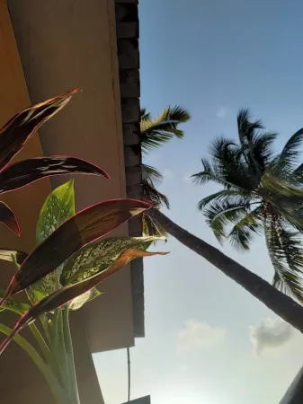 20 Mins From Sunburn, 2BHK Apt with Pool in Siolim Отели в г. Сиолим