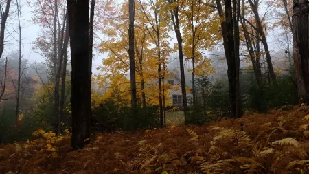 Cozy Mountain 2-bedroom cabin in Kerhonkson, WiFi and nature