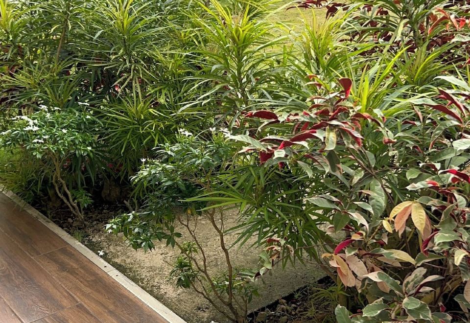 보홀 숙소 전경