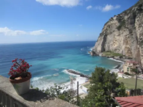 Amaca in a Green Garden