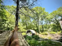 Enchanting Lake front chalet with backyard and fire pit. Dog friendly.