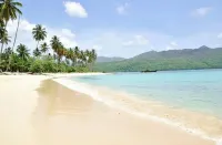 Wake Up At Paradise