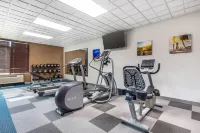 Comfort Inn & Suites Frisco East - McKinney - Gym