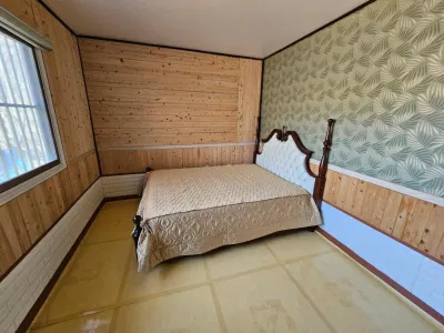 Jinan Demiseam Lake Pension Hotel in zona Geumdangsa