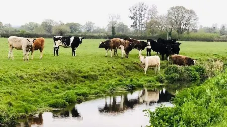 The Ash View in North Somerset Отели рядом с Аэропорт Бристоль