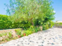 Villa Fernando - Villa With Private Pool