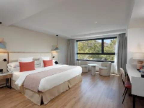 ホテル サン クリストバル マルベーリャのホテル