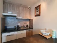 Studio 4 pers. 100m from the nearest chairlift, return on skis