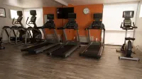 Holiday Inn ALEXANDRIA - DOWNTOWN by IHG - Gym