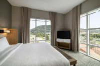 羅阿諾克萬豪SpringHill飯店