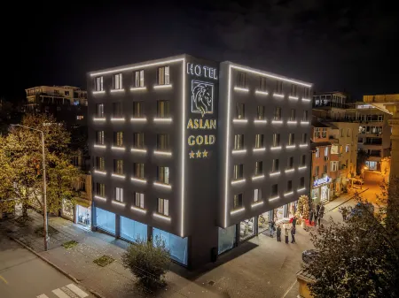 Aslan Gold Hotel