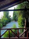Cabañas Las Pataguas - Coñaripe -  Habitaciones en casas particulares