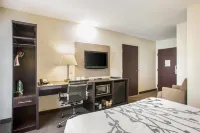 Quality Inn Kansas City International Airport - Pool