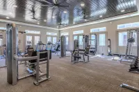 Landing Near Historic Downtown Buda - 4-Star