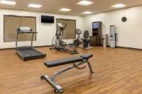 Comfort Inn & Suites Amish Country - Træningscentre