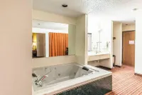 Econo Lodge Inn & Suites - Badekar