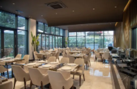 由Meliá附屬的廷拉那埃麗莎酒店 酒店