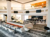 MS Milenium Monterrey, Curio Collection by Hilton - bar