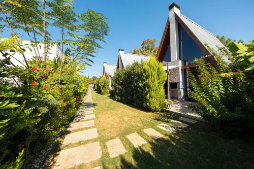 BEGONVİL GÜMÜŞLÜK
