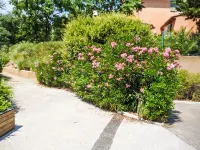 Les Restanques Golfe Saint Tropez