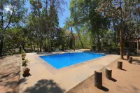 Tiger Trails Resort - Pools