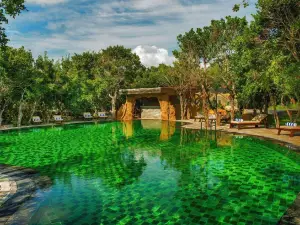 Popular Vacation Homes in Sri Lanka