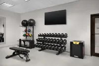 Hilton Garden Inn Dallas Lewisville - Gym