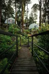 Matahom Forest House by Araw Residences