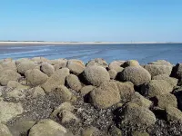 6 Person Holiday Home in Blavand - Wifi