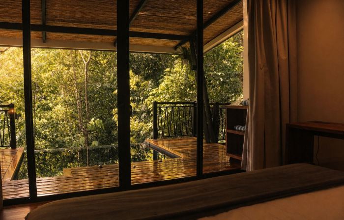 Nuakú Jungle