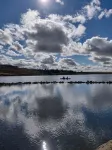 Hjartarstaðir Private Country Retreat with Hot Tub - Pool