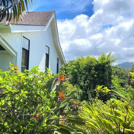 Tropical, Bright Studio: Steps to Golf Course, Beaches, & Amazing Views