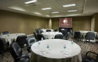 DoubleTree by Hilton Chicago O'Hare Airport-Rosemont - de negocios