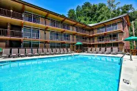 Wild Bear Inn - Motels
