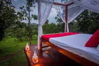 Mountain Top Glamping Tree House with a Star Bed Hotels in Balangoda