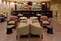 Holiday Inn AUSTIN-TOWN LAKE by IHG - bar