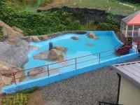 Chungju under the Sky Forest Pension