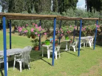 Conte Francesco II Hotels in Certaldo