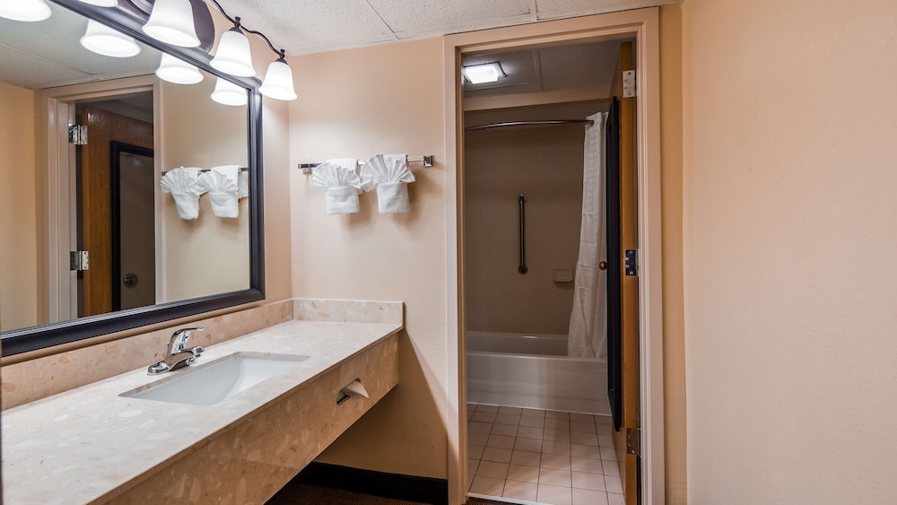 Best Western Plus Arbour Inn and Suites