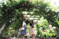 Hotel Koyokan Hotels near 宮澤賢治記念館への階段