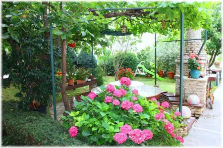 Villa Kascuni Отели в г. Orbanici