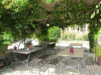 Linearis E - Homestays