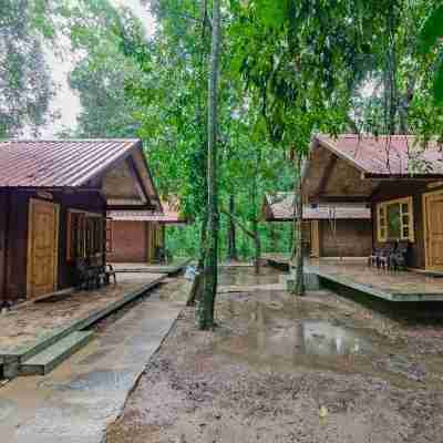 Aanejari Butterfly Camp-Junglelodges Hotel Exterior