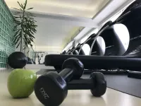 Holiday Inn ROME - EUR PARCO DEI MEDICI by IHG - Gym