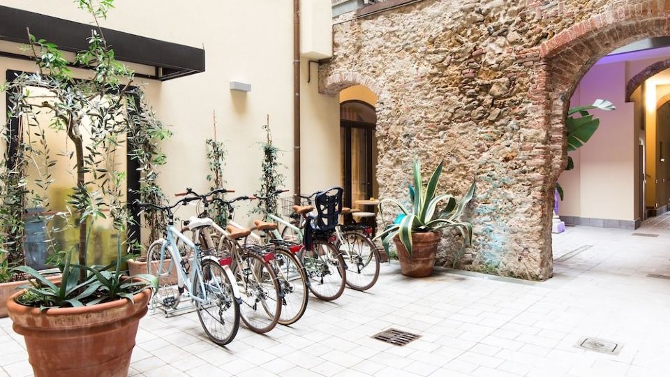 Agave in Città